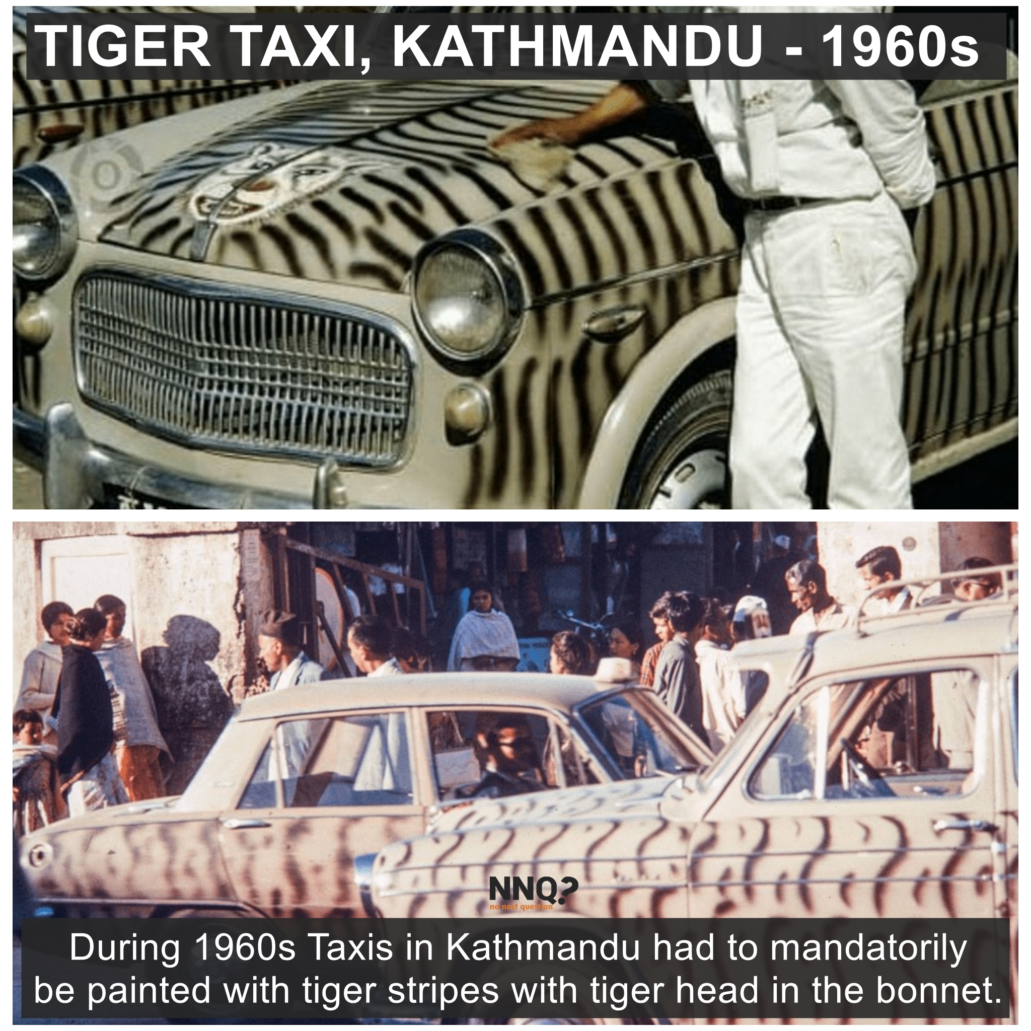 Tiger Taxi in Nepal