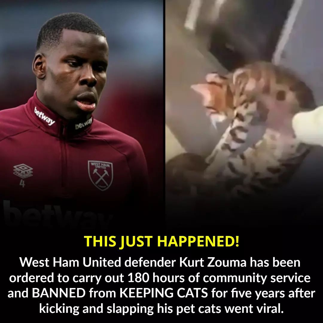 Kurt Zouma ordered to carry out 180 hours of community service and banned him from keeping cats for five years